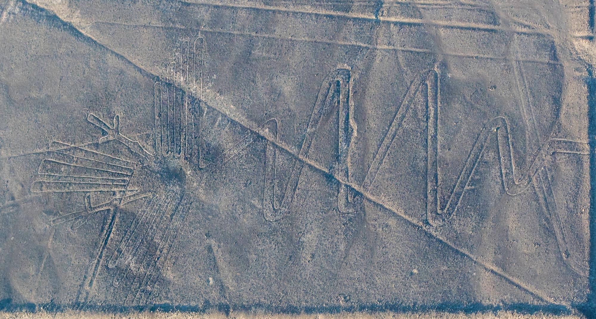 Nazca geoglyphs in the interior of a restaurant in Nice on the French Riviera